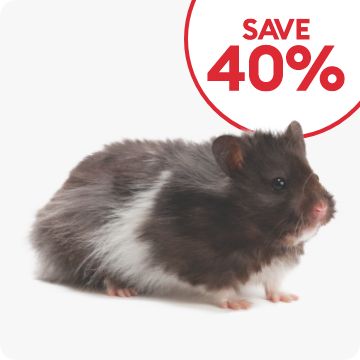 Save 40% callout & a hamster