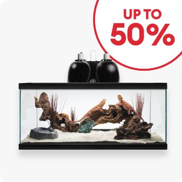 Up to 50% callout and a terrarium