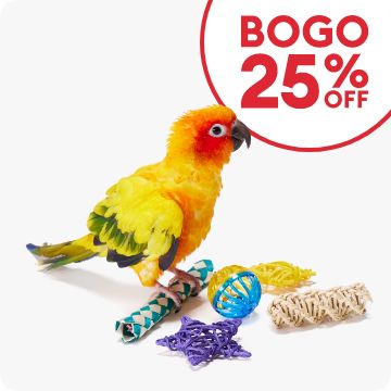 BOGO 25% OFF callout & a bird playing with toys