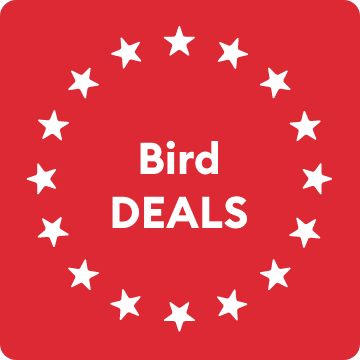 Bird DEALS message & white star graphics