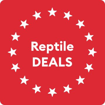 Reptile DEALS message and white star graphics