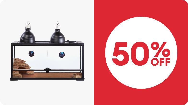 50% OFF callout & Thrive terrariums