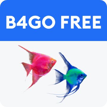 Buy 4, get 1 FREE GloFish