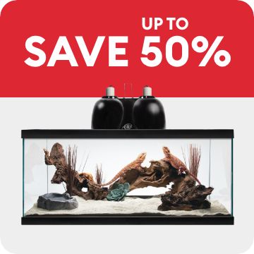 SAVE UP TO 50% callout & reptile terrarium