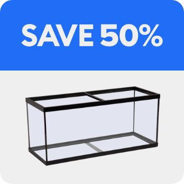 Open-glass aquarium & 50% OFF
