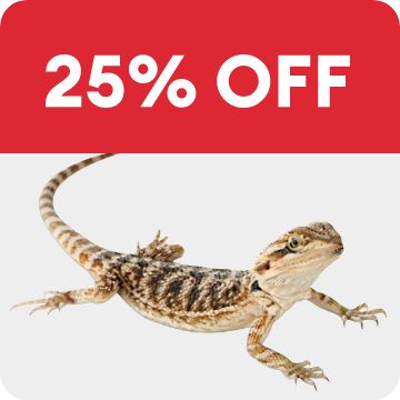 25% OFF callout & bearded dragon