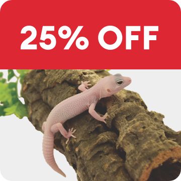 25% OFF callout & geckos