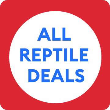ALL REPTILE DEALS