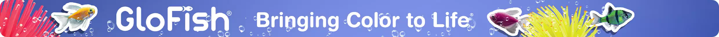 GloFish bringing color to life