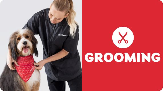 Grooming Salon logo and a groomer fitting a bandana on a dog