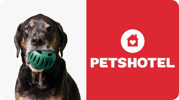 PetsHotel logo and a dog with a WOOF toy in their mouth