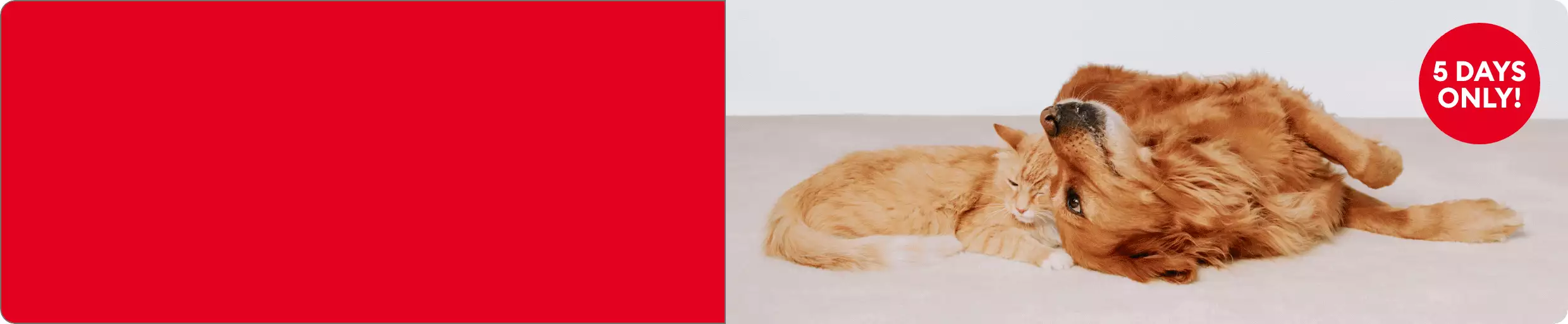 Cat & dog resting with "4 DAYS ONLY!" & "EXTRA 20% OFF" callouts