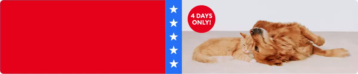 Cat & dog resting with "4 DAYS ONLY!" & "EXTRA 20% OFF" callouts