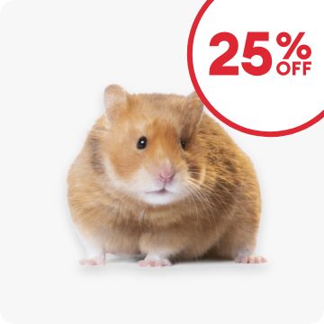 Hamster and 25% OFF