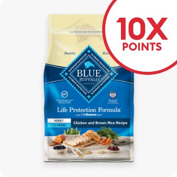 Bag of Blue Buffalo dog food with 10X points call-out