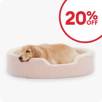 Dog in orthopedic bed & 20% OFF