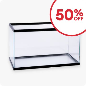 Aquarium with 50% OFF