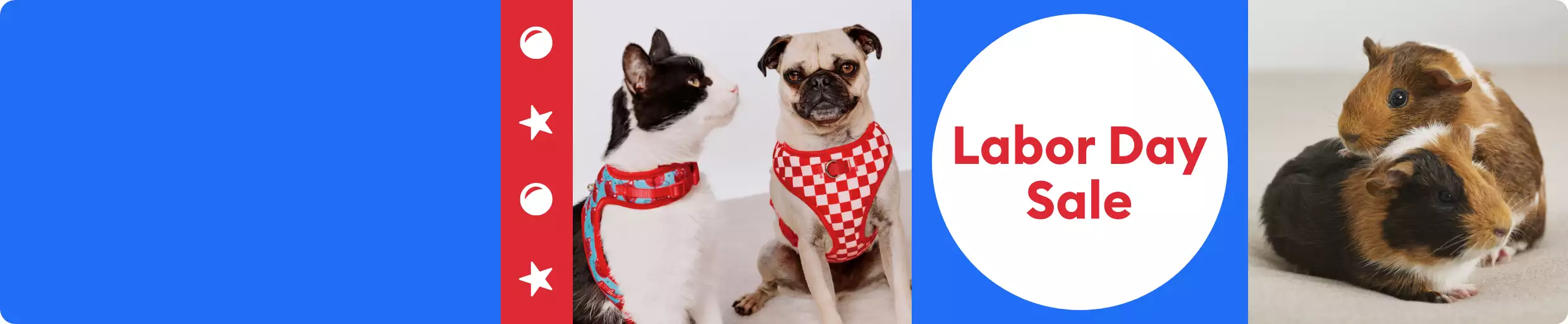 Dog and cat with harnesses AND Labor Day Sale
