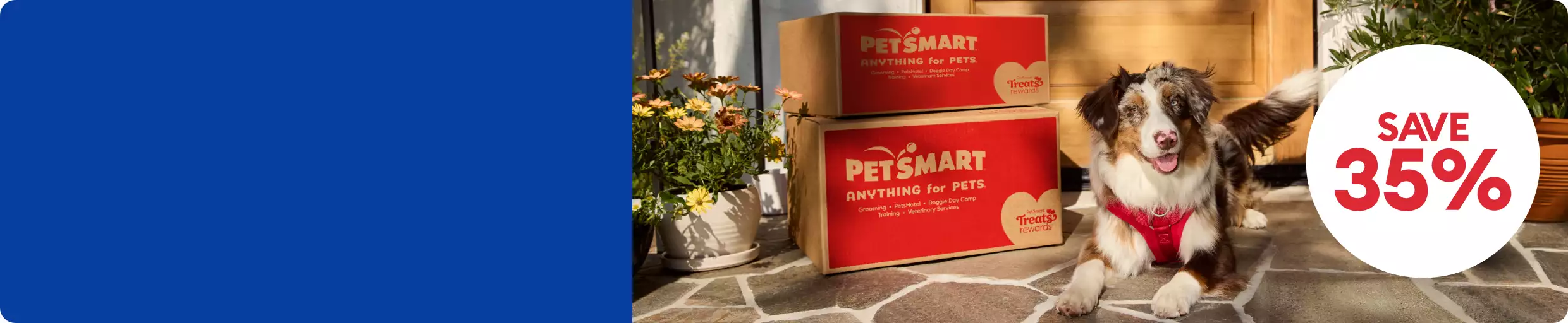 Save 35% callout and a dog standing by two PetSmart shipping boxes