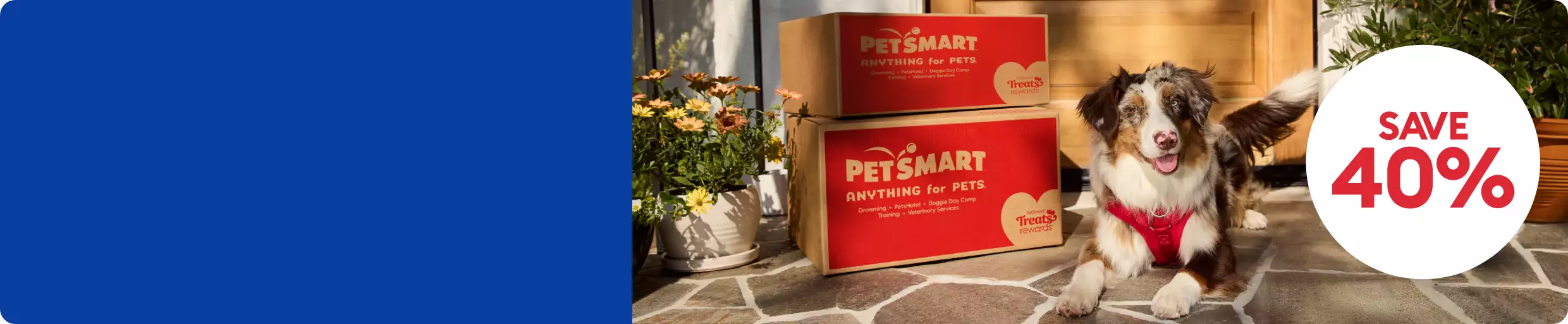 Save 40% callout and a dog standing by two PetSmart shipping boxes