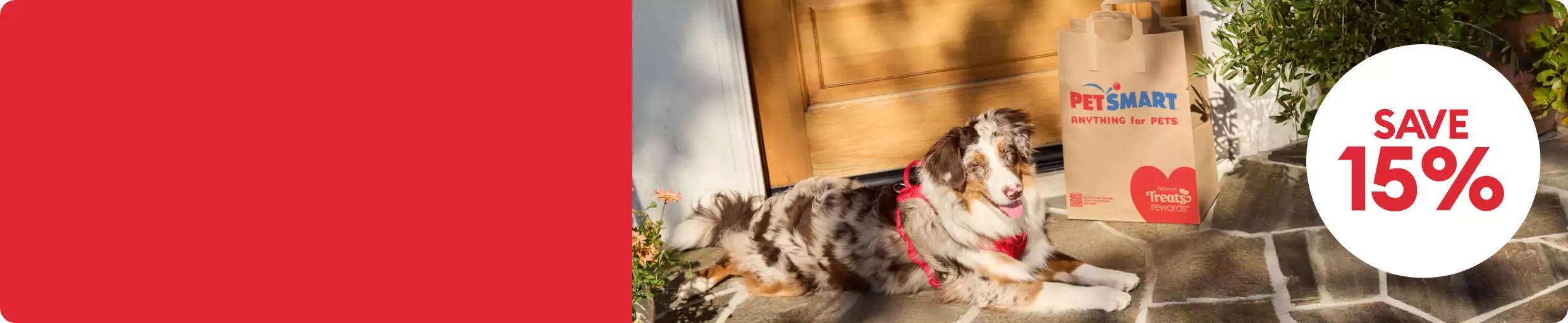 Save 15% callout and a dog laying outside by a PetSmart shopping bag
