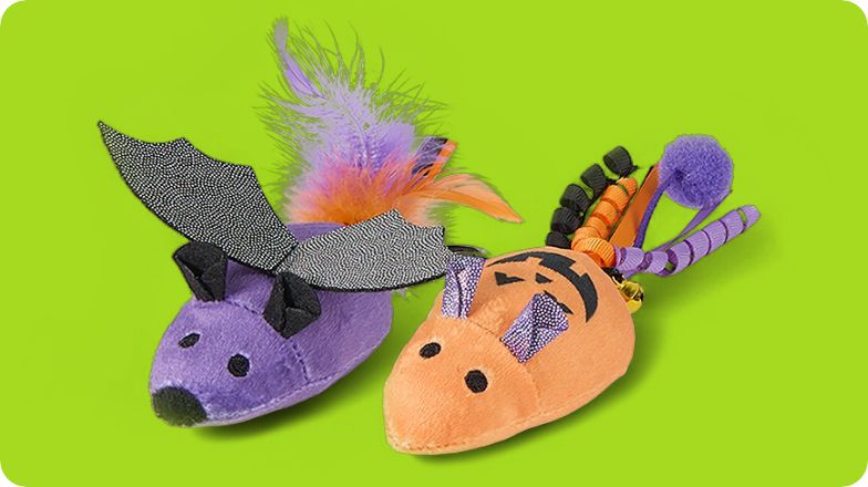 Cat with Halloween-themed toy