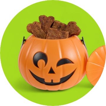 Jack o' lantern full of dog treats