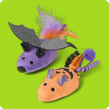 Cat Toys Halloween