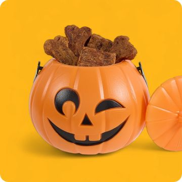 Jack o' lantern with dog treats
