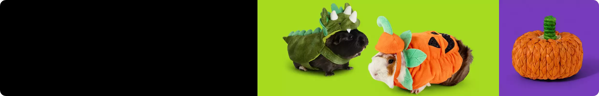 Small Pet Halloween Shop" & Halloween-themed small pet costumes and toy
