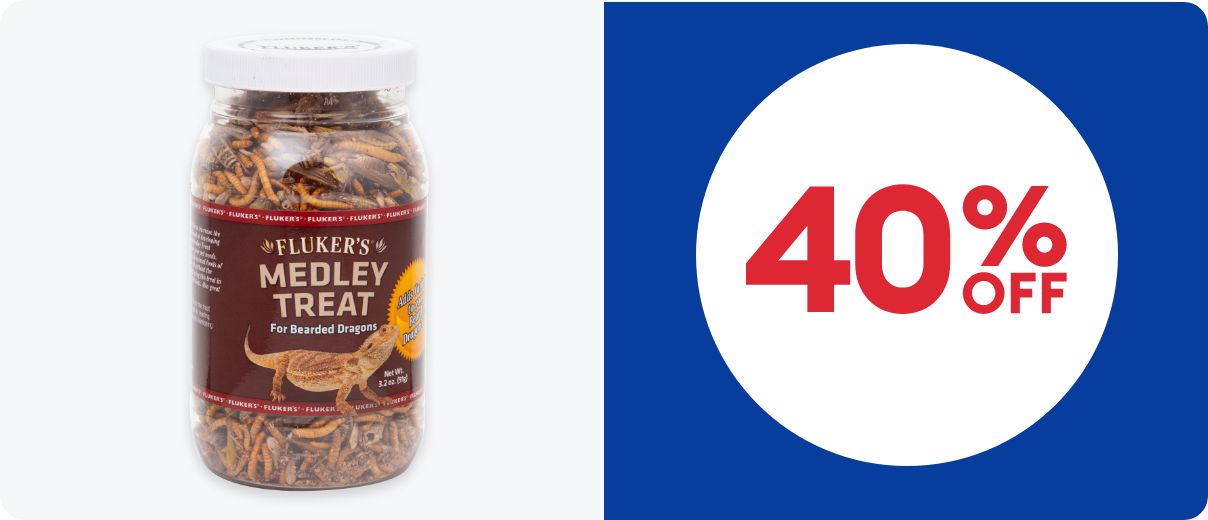 Reptile treats & 40% OFF