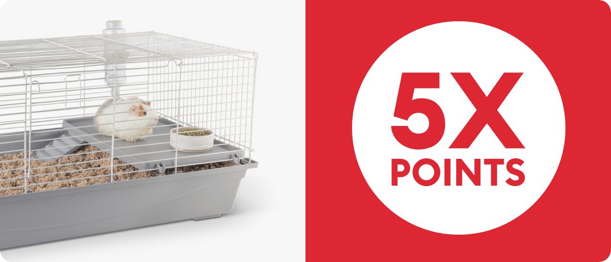 Small pet habitat & 5X POINTS