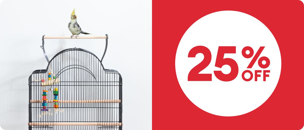 Birds in a bird cage