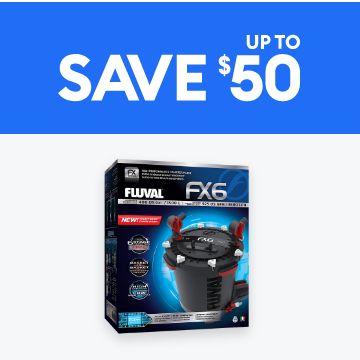 Save up to 50%