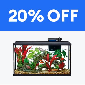 20% OFF