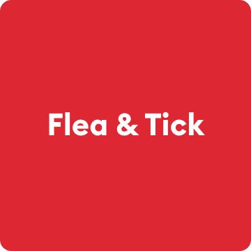 Flea & Tick