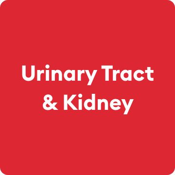 Urinary Tract & Kidney