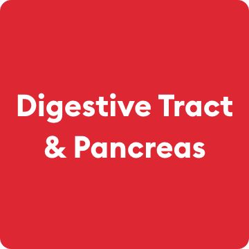 Digestive Tract & Pancreas