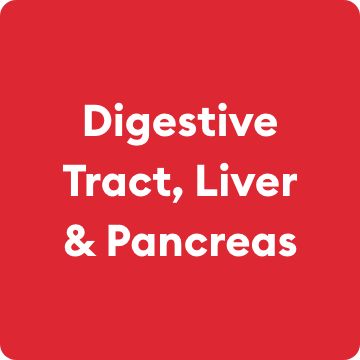 Digestive Tract, Liver & Pancreas