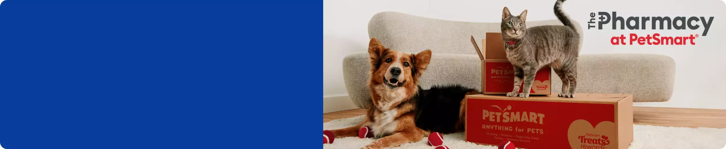 Dog & cat sitting with PetSmart boxes & The Pharmacy at PetSmart logo
