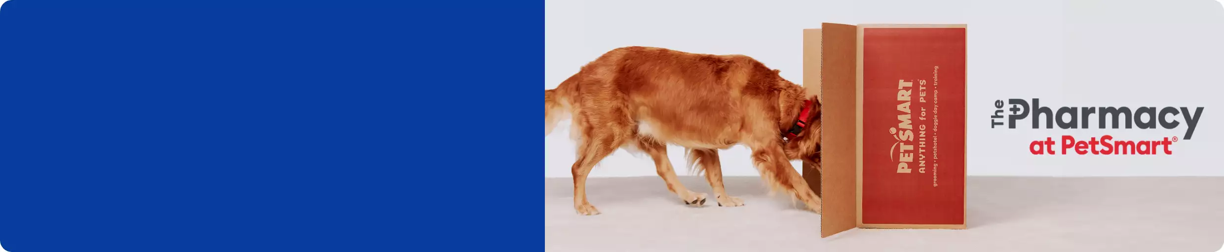 Dog with PetSmart box & The Pharmacy at PetSmart logo