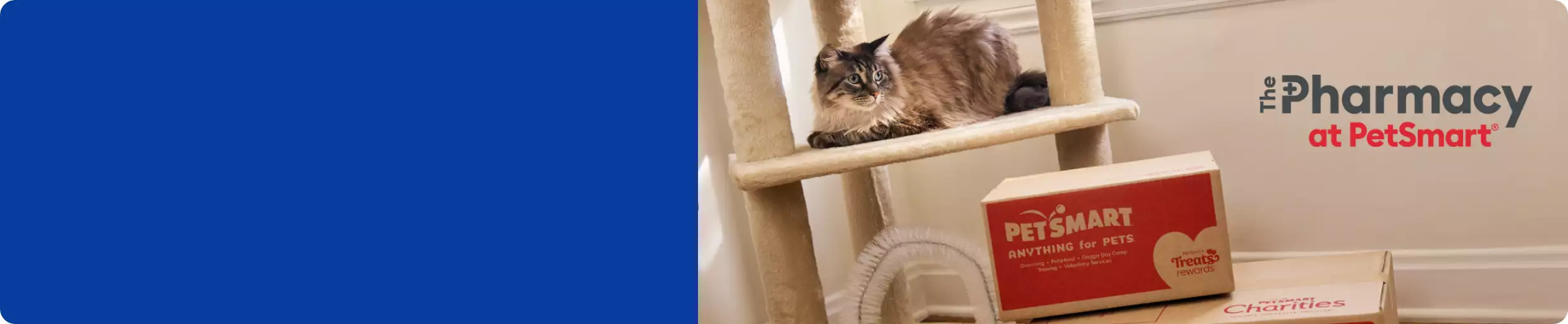Cat on cat tree with  boxes nearby & The Pharmacy at PetSmart logo