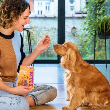 dog being fed treats