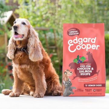 senior dog with bag of senior dry dog food