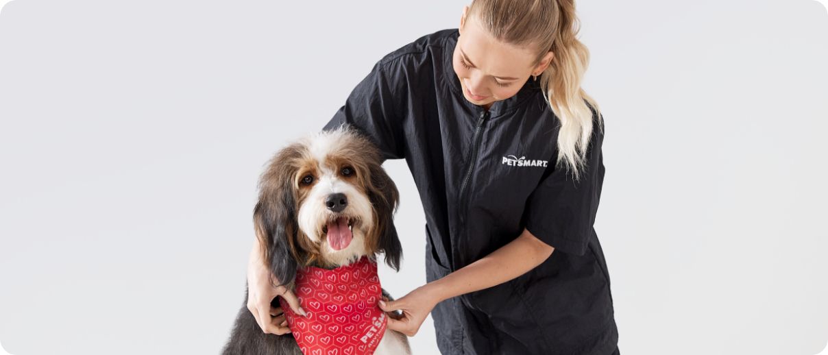 A Pet Stylist putting a bandana on a dog