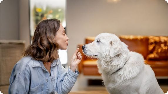 A pet parent giving a dog a chewable