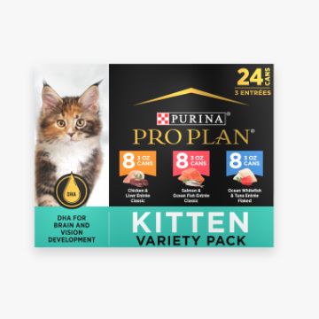 Package of Purina Pro Plan kitten food