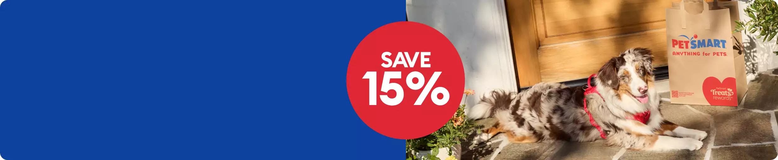 Save 15% callout, Free Same-Day Delivery icon & a dog sitting beside a Petsmart shopping bag at the front door