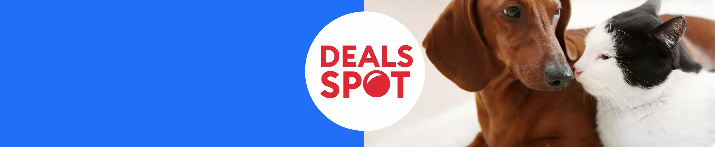 Deals spot callout with dog and cat touching noses 