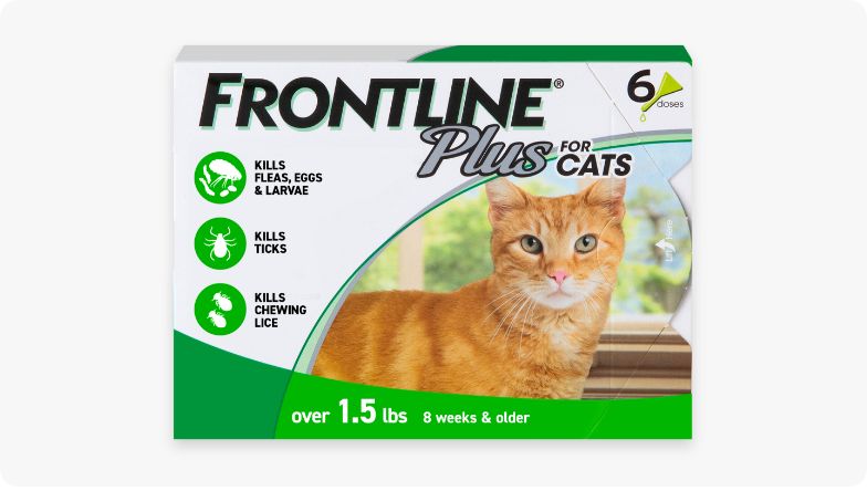 Frontline Plus for cats